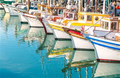 Bunte Fischerboote am Fishermans Wharf
